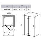 Душевая дверь SMSD 2-110 A-L Transparent